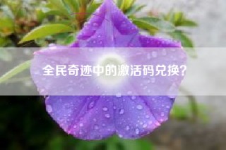 全民奇迹中的激活码兑换？
