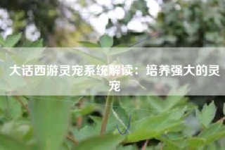大话西游灵宠系统解读：培养强大的灵宠