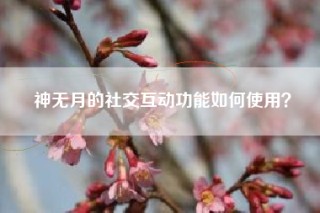 神无月的社交互动功能如何使用？