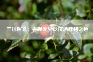 三国演义：吞噬无界竞技场胜利之道