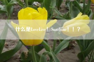 什么是LoveLive！Sunshine！！？