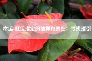 命运-冠位指定的信仰和灵性：寻找指引