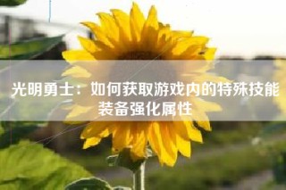 光明勇士：如何获取游戏内的特殊技能装备强化属性
