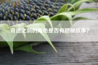 奇迹之剑的角色是否有隐秘故事？