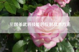 三国杀武将技能的反制战术方法