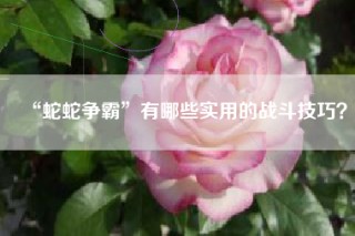 “蛇蛇争霸”有哪些实用的战斗技巧？