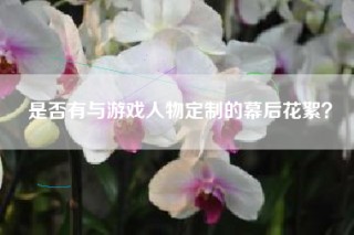 是否有与游戏人物定制的幕后花絮？