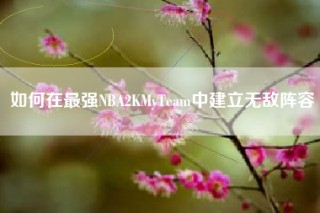 如何在最强NBA2KMyTeam中建立无敌阵容