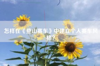 怎样在《登山赛车》中建立个人赛车风格？