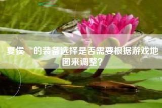 夏侯惇的装备选择是否需要根据游戏地图来调整？