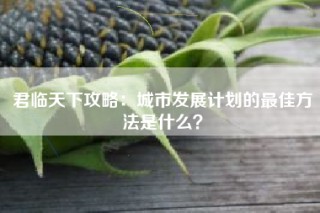 君临天下攻略：城市发展计划的最佳方法是什么？