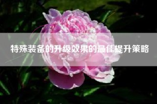 特殊装备的升级效果的最佳提升策略