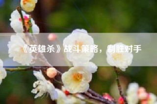 《英雄杀》战斗策略，制胜对手