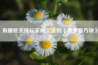 有哪些支持玩家间交流的《俄罗斯方块》？