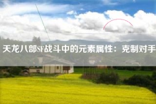 天龙八部SF战斗中的元素属性：克制对手