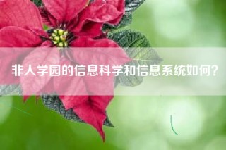非人学园的信息科学和信息系统如何？