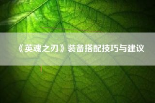 《英魂之刃》装备搭配技巧与建议