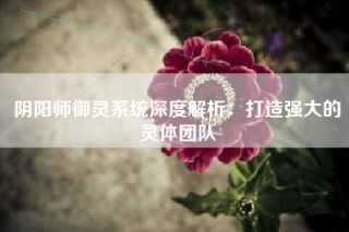 阴阳师御灵系统深度解析：打造强大的灵体团队