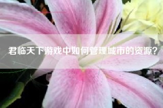 君临天下游戏中如何管理城市的资源？