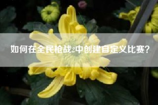 如何在全民枪战2中创建自定义比赛？