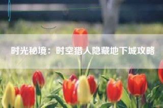 时光秘境：时空猎人隐藏地下城攻略
