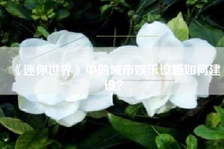 《迷你世界》中的城市娱乐设施如何建设？