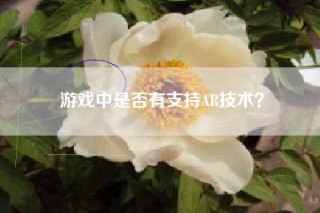 游戏中是否有支持AR技术？