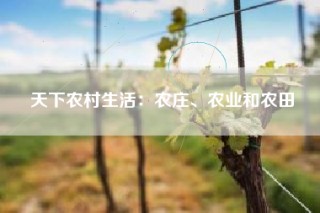 天下农村生活：农庄、农业和农田