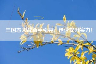 三国志大战新手引导，迅速提升实力！