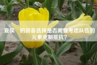 夏侯惇的装备选择是否需要考虑队伍的元素克制抵抗？