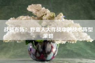 战略布阵：野蛮人大作战中的战术阵型策略