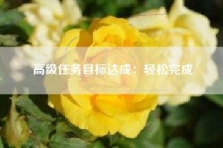 高级任务目标达成：轻松完成