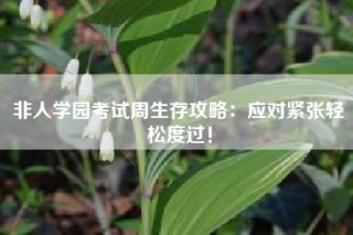 非人学园考试周生存攻略：应对紧张轻松度过！