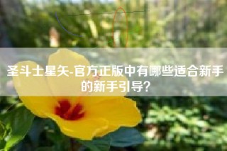 圣斗士星矢-官方正版中有哪些适合新手的新手引导？
