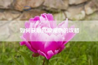 如何获取高级宠物的攻略