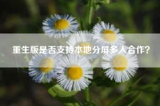 重生版是否支持本地分屏多人合作？