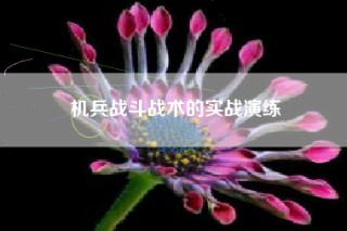 机兵战斗战术的实战演练