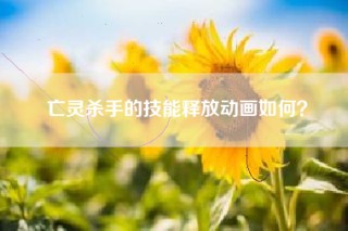 亡灵杀手的技能释放动画如何？