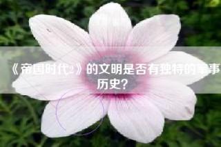 《帝国时代2》的文明是否有独特的军事历史？