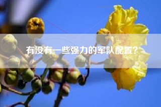 有没有一些强力的军队配置？