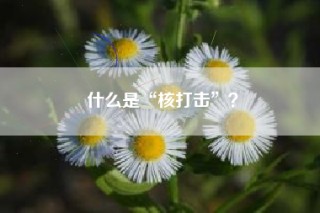 什么是“核打击”？