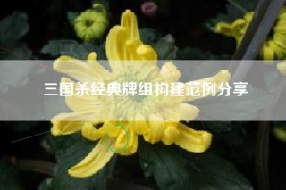 三国杀经典牌组构建范例分享