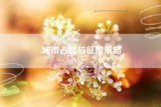 城市占领与征服策略