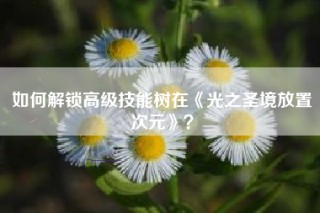 如何解锁高级技能树在《光之圣境放置次元》？