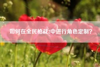 如何在全民枪战2中进行角色定制？