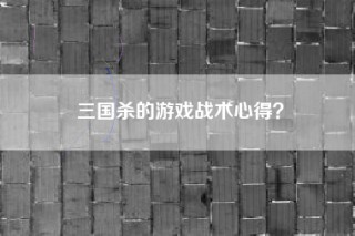 三国杀的游戏战术心得？
