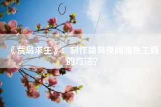 《荒岛求生》：制作简易夜间捕鱼工具的方法？