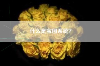 什么是宝图系统？