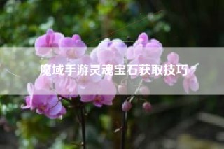 魔域手游灵魂宝石获取技巧