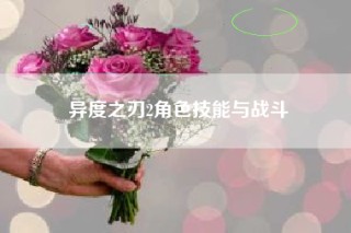 异度之刃2角色技能与战斗